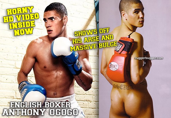 english-boxer-with-sexy-ass
